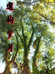 遛狗的句子