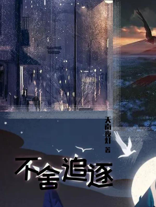不追逐的意思
