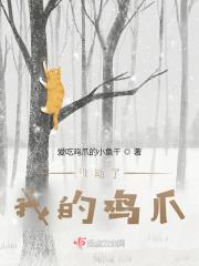 谁动了我的鸡爪作文