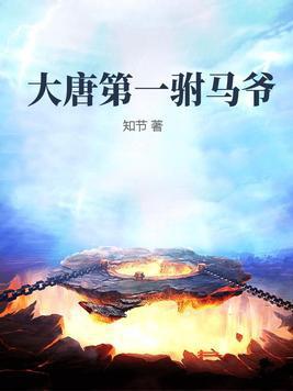 大唐第一驸马爷女主有几个