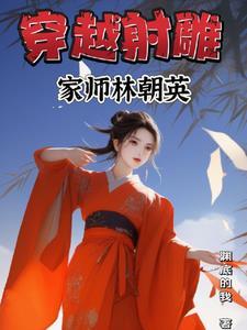 射雕英雄传之南帝北丐国语