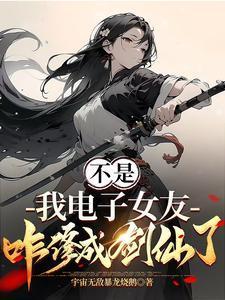 我的电子女友李清然小说