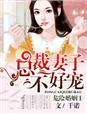 危险婚姻总裁妻子不好哄于诺
