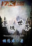 域苍信息科技
