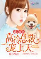 高冷总裁