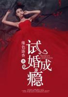 试婚成瘾夏暖陆亦寒免费阅读