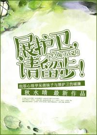 展护卫请留步免费阅读