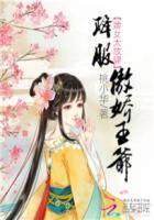电视剧婢女
