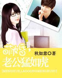 萌婚老公猛如虎txt