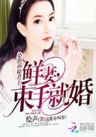 染指免费阅读txt