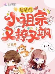 陆爷的小祖宗又撩又飒有第二部分?