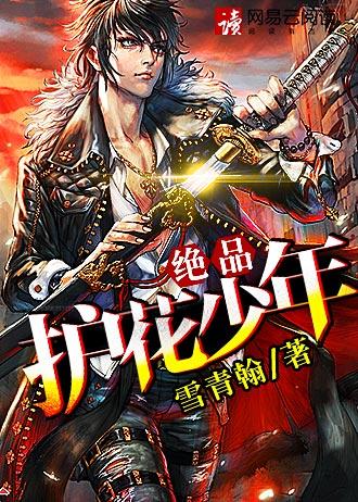绝品少年高手