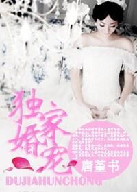 独家婚宠全文免费