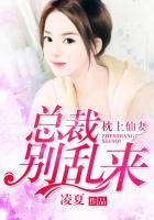 枕上欢总裁宠妻无上限