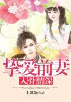 挚爱前妻入骨情深免费阅读