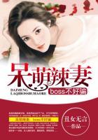 26章呆萌