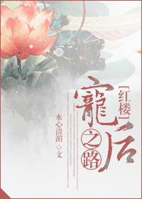 红楼宠后之路免费阅读