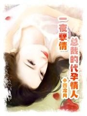 总裁一夜情怀孕的电视剧