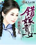 错嫁贵女 八千暗卫