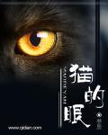 猫的眼睛有什么特点