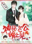 神秘老公晚上见在线阅读