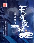 天鹏纵横第二回