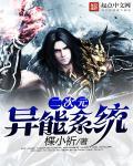 二次元神系统
